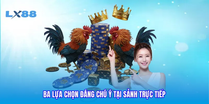 Ba lựa chọn đáng chú ý tại sảnh trực tiếp